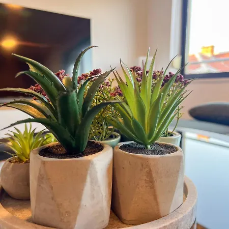 Apartamento Pepper Penthouse - Luxurious Duplex Apartment, 50m From The Bacvice Sand Beach *